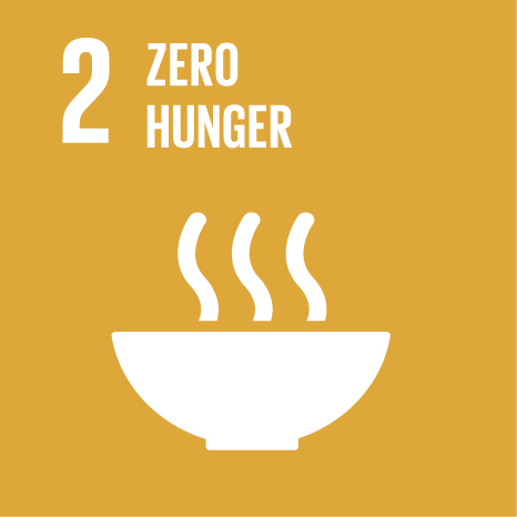 SDG Icon