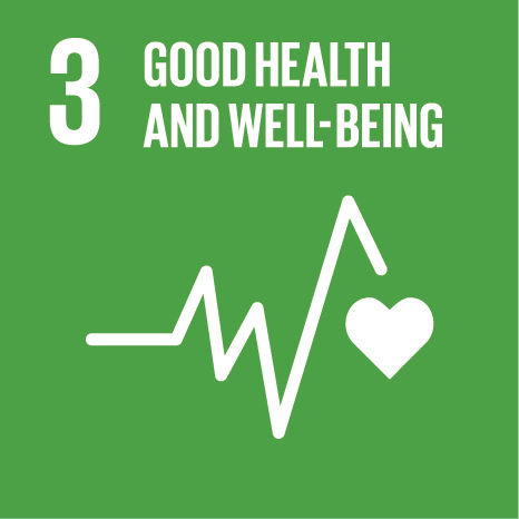 SDG Icon