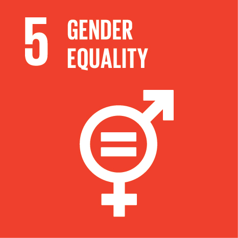 SDG Icon